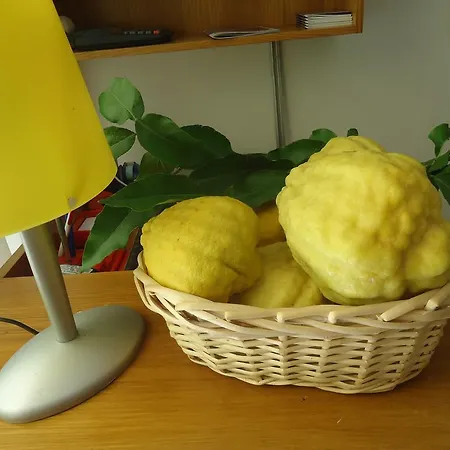 Lejlighedshotel Il Cedro