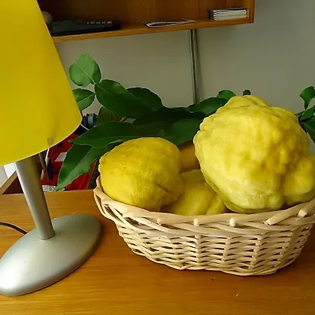公寓式酒店 Il Cedro 马尔切西内