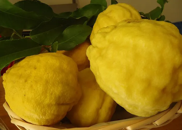 Il Cedro Апарт-отель