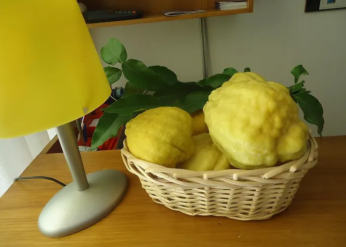 Апарт-отель Il Cedro